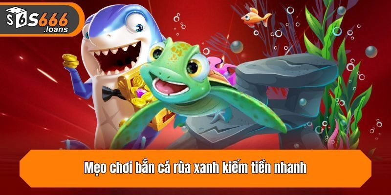 Mẹo chơi bắn cá rùa xanh kiếm tiền nhanh